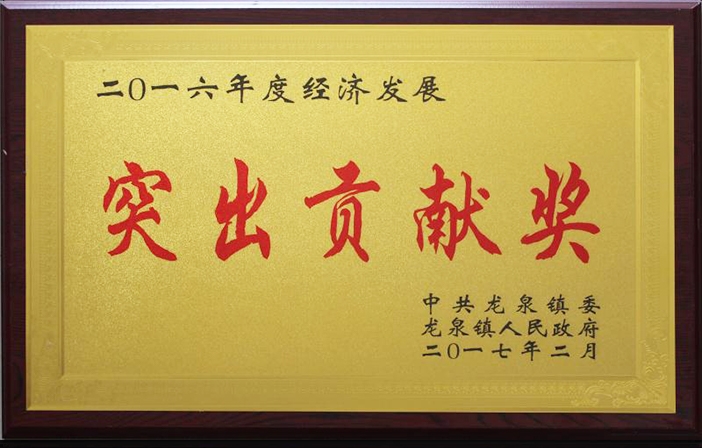 突出贡献奖